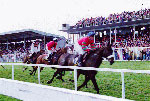 Galway Races