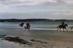 Horse Riding on the Beach